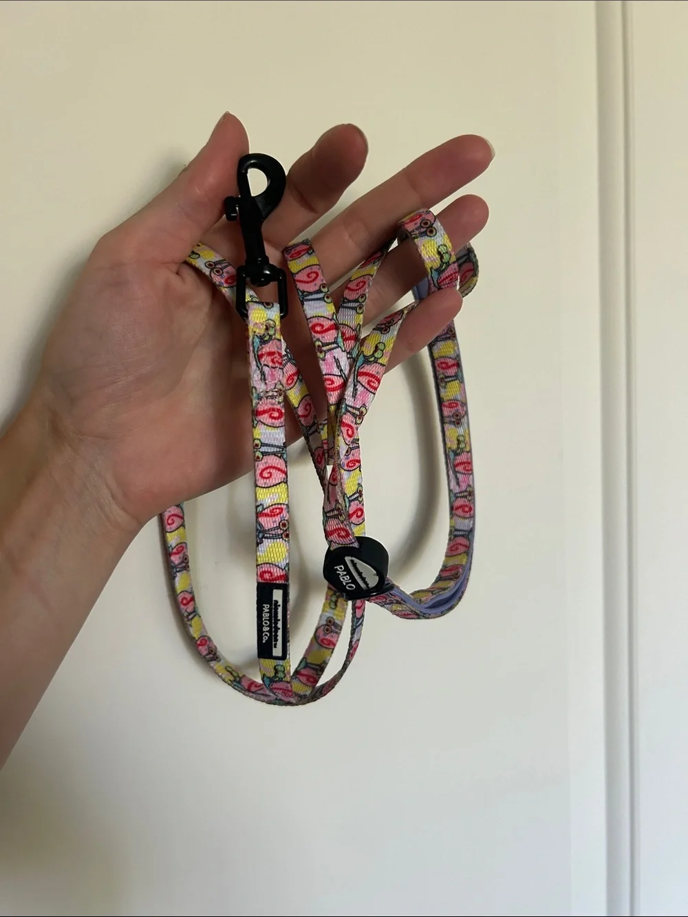 Pablo & Co. Gary the Snail Cat or Dog Leash • Nickelodeon SpongeBob Square Pants